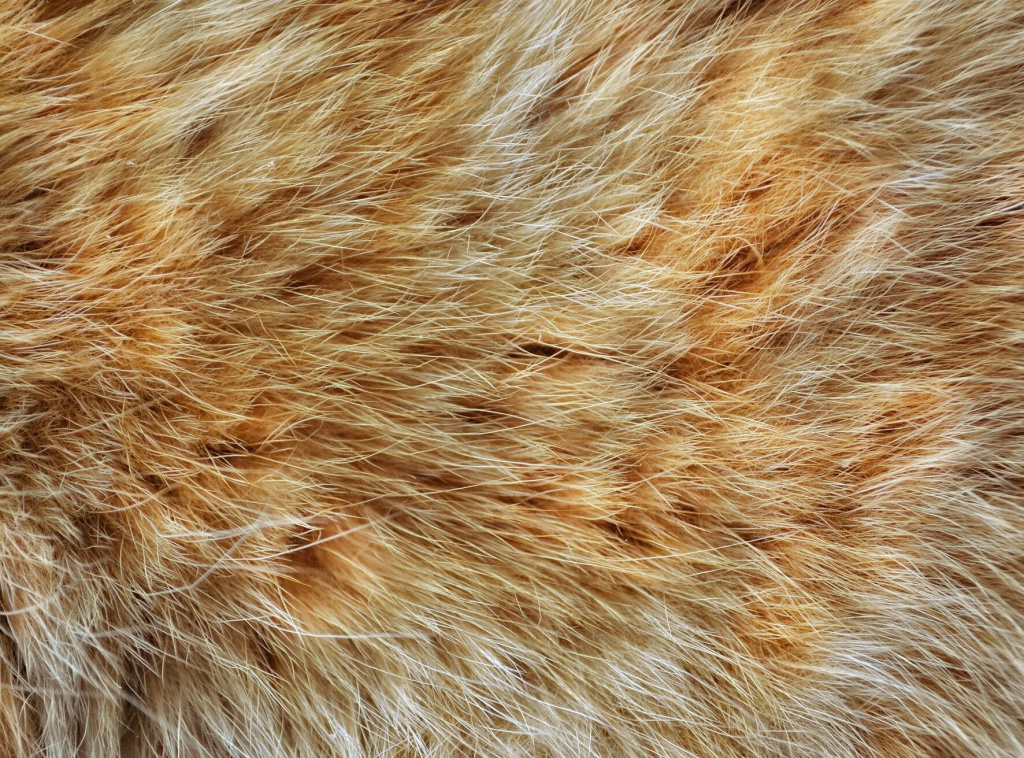 9 столпов Keune | KEUNE SHOP