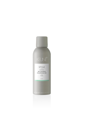 STYLE DRY SHAMPOO